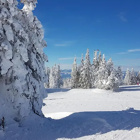 Marrilux Hill Apartment Kopaonik