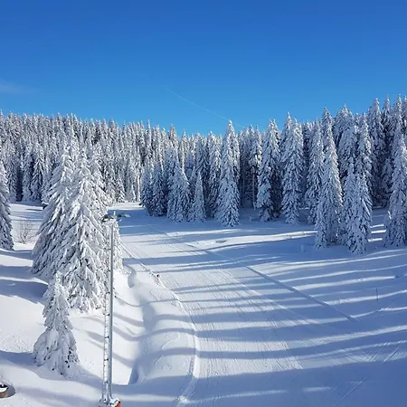 Marrilux Hill Kopaonik
