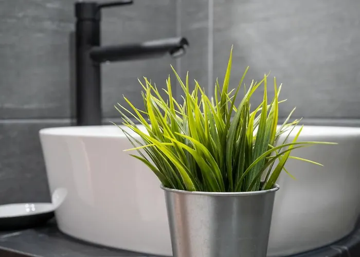 Marrilux Hill Daire Kopaonik